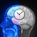 OPTIMAL NATURE 이미지