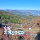 오도재 | 함양오도재 단풍 드라이브 기대와 아쉬움 사이의 가을 여행기