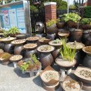 내북초 아곡분교 이미지