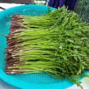 명계농장 이미지