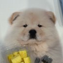 화산로 R 네이버블로그