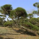 우송농장 이미지