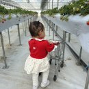 다인농장2 이미지