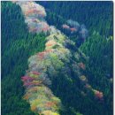 행정사 사람중심 사무소 이미지