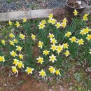 올바른 농원 이미지