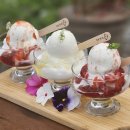 2456 | 강원도 홍천군 홍천읍 잣떡 찹쌀떡 카페 | 생생정보 2456회 2026년1월13일