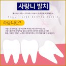 라인치과의원 이미지