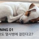 알아 이미지