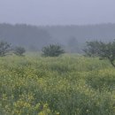 표선교회 이미지