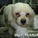 은평-038 이미지