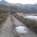 평창강로 이미지