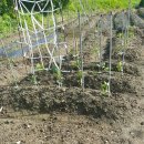 도현농장 이미지