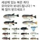 라베골프아카데미 이미지