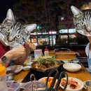 서울감자탕 야탑지점 이미지