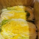 선영농장 이미지