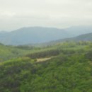 달보드레 이미지