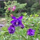 토골농장 이미지