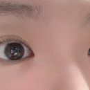 비비래쉬 이미지