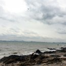 안산1길L 이미지