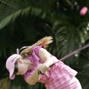 스프링베일리조트 이미지