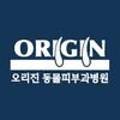 오리진 동물피부과병원 네이버블로그