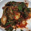 바다향민박 이미지