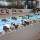 해그리다 이미지