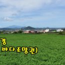 제주노른자부동산중개 이미지