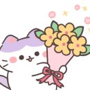 아롱이 애견 이미지