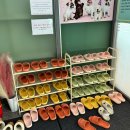 도그프렌즈 | 🐶김천 도그프렌즈 애견카페🐶