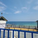 고고비치서프 | 고성 서핑 강습 추천 고고비치서프 내돈내산 후기