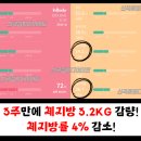신곡 점핑다이어트