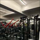 골든 피티 이미지