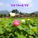 연꽃마을4단지 이미지
