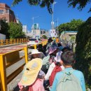 발도로프학교 | 부산발도르프학교 1,2학년 학급여행 후기