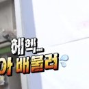 성일택시 | 깡통시장 ,깡통시장 맛집 깡돼후, 추성훈 아조씨 맛집 대호양곱창 , 꼼장어 맛집 부산꼼장어맛집 성일집