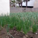 가신경로당 이미지