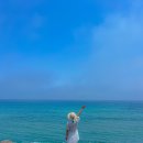 고금도펜션민박 이미지