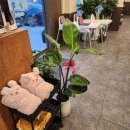 쉐프앤돈 | [내돈내먹] 온 가족이 함께 외식하기 딱 좋은 구미 문성 생포갈비 맛집 추천 쉐프앤돈 가든