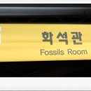 부산해양자연사박물관 이미지