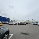 롯데몰 앞 횡단보도2 이미지