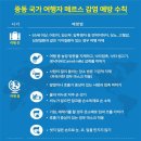 1339 이미지