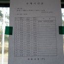 세종시 첫마을 시간표 (651번 포함) 이미지