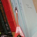 일현(주)