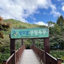 개울옆길 이미지