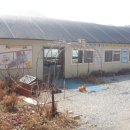 대둔산딸기학교