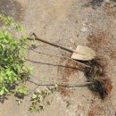 홍집농장 이미지