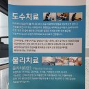 덕제내과의원 티스토리