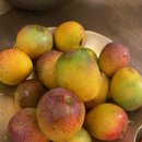 새벽농장 이미지