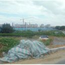 신시리마을회관 이미지